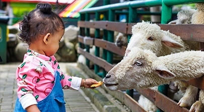 Kinderboerderij gelegen in Westland