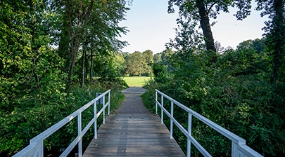 Hotel westland in de natuur