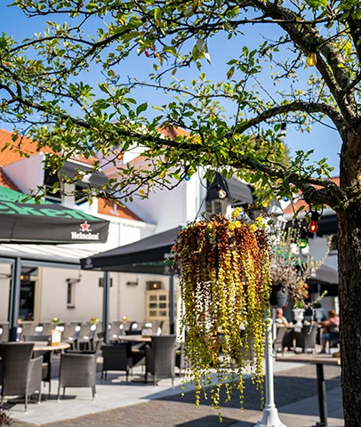 Hotel in Zuid-Holland