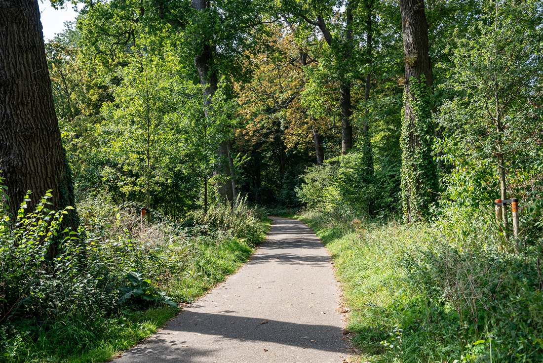 Weelderig groen op het landgoed van Hotel Hoevevoorde, ideaal voor een voordelig weekendje weg in de natuur