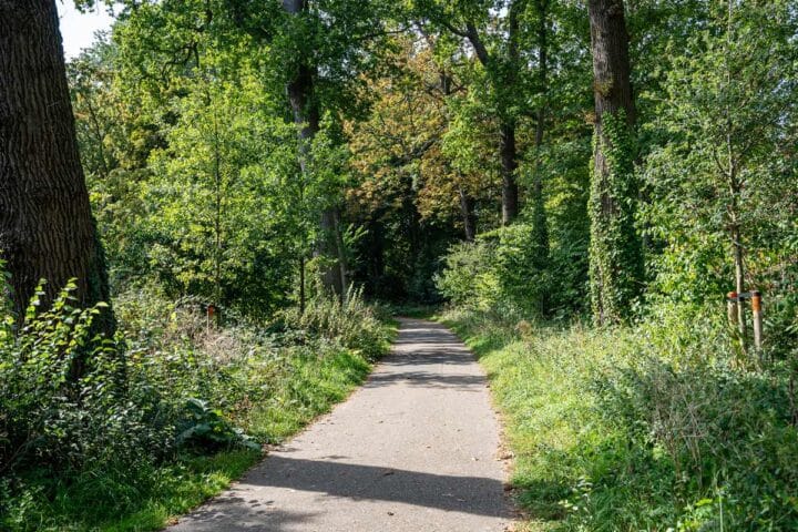 Bospad door het groene bos bij Hotel Hoevevoorde in Rijswijk in de zomer